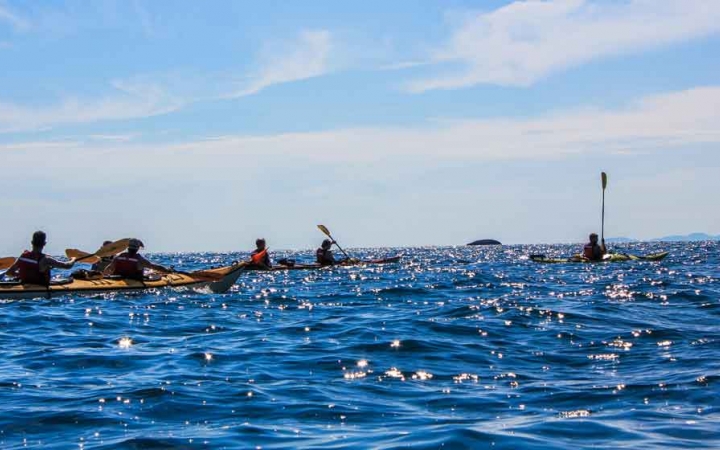 a group of outward bound gap year students paddle kayaks on a blue lake under blue skies in minnesota